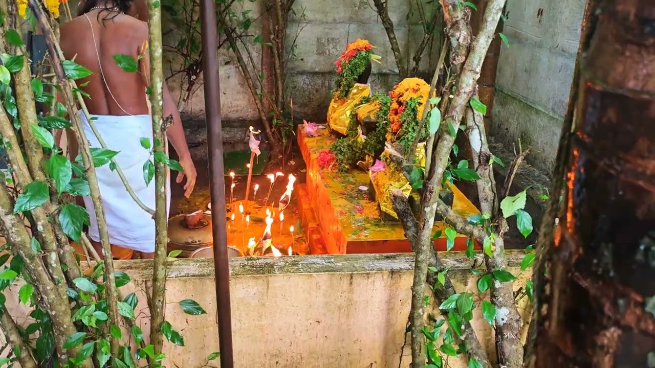നാഗരാജാവിനും നാഗയക്ഷിക്കും നൂറുംപാലും നേദ്യം