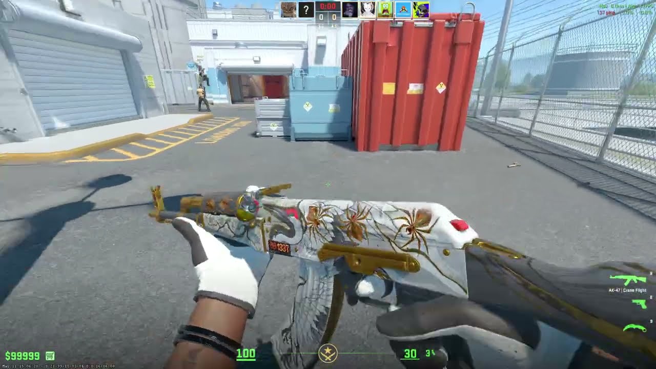 AK-47 Crane Flight craft for Stattrak Factory new my weapon art