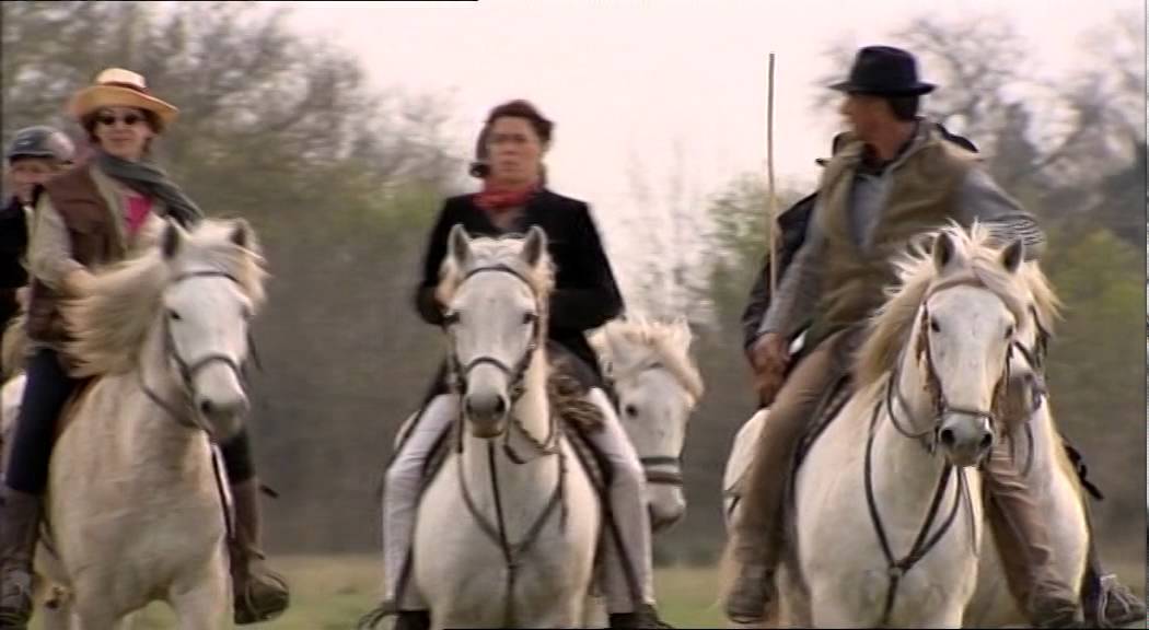 Equidia Chevauchée Camarguaise au Mas de Grandes Cabanes
