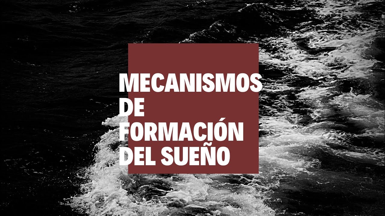 Freud: Mecanismos de Formación del Sueño - Inconsciente en Pantuflas
