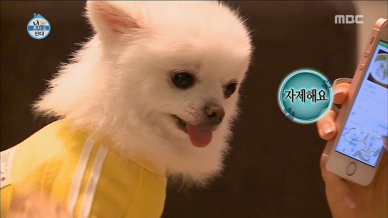 [I Live Alone] 나 혼자 산다 - Han Chaea, completely exhausted! please put me a medicated patch! 20160902