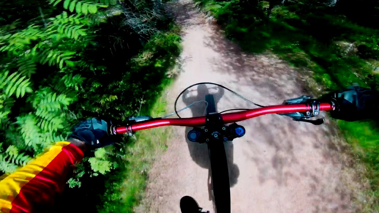 Gesunda Bike Park 2017