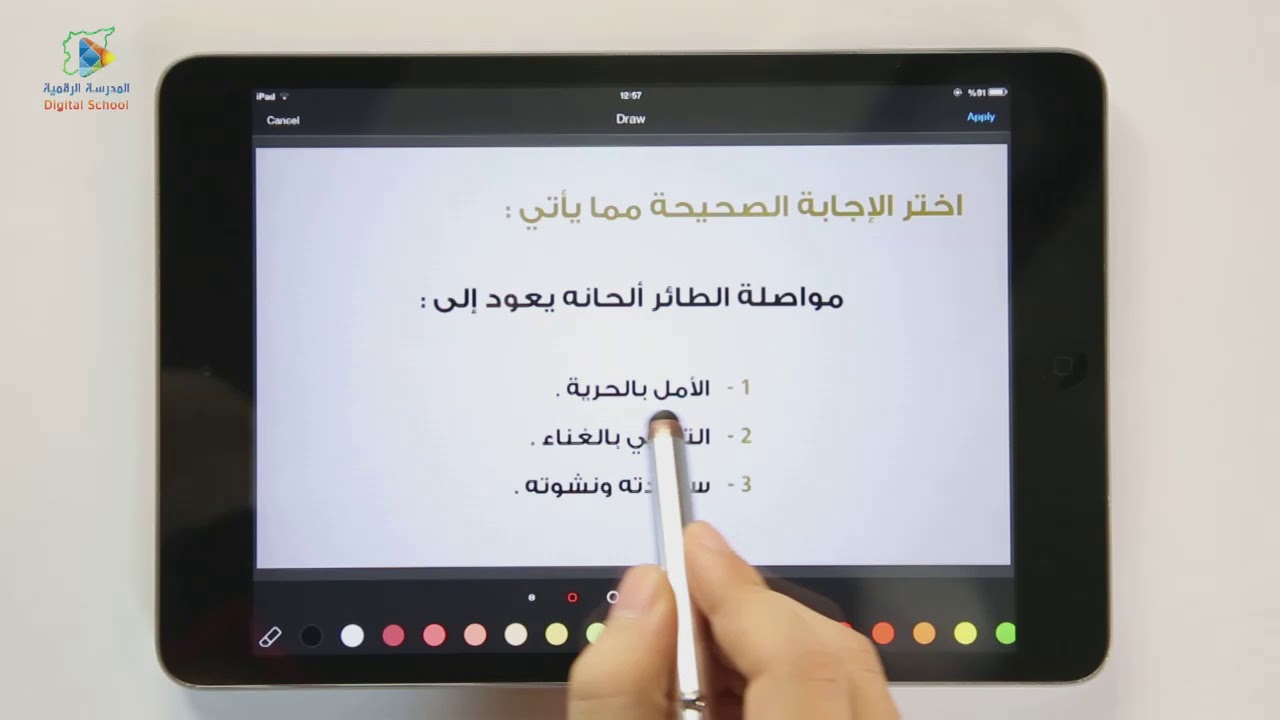01  رؤياطائر