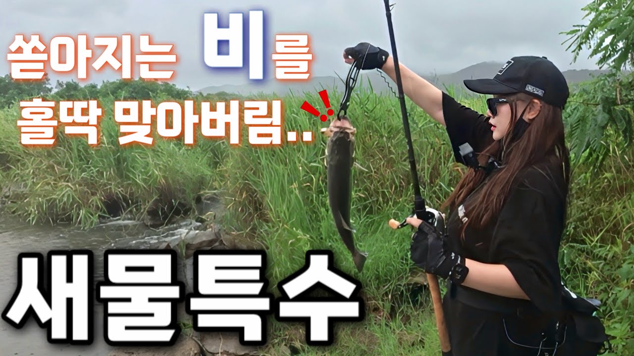 쏟아지는 비를 홀딱 맞아버림..[킹더배스_49화]