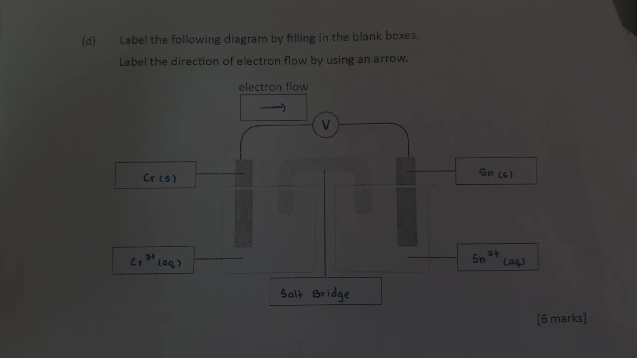 DK024 GALVANIC CELL