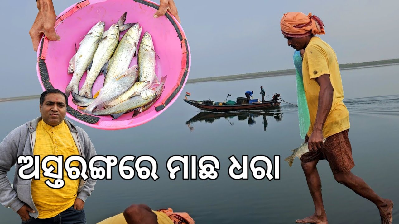 କୁହୁଡ଼ିରେ ଅସ୍ତରଙ୍ଗ ମାଛ ଧରା l Nuagarh Jethi fishing l Astaranga l EP 3