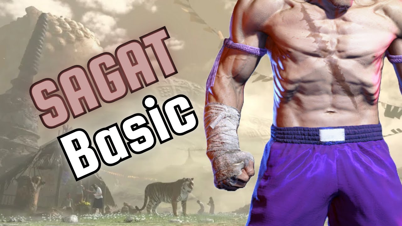 Sagat optimal combos ( punish counter combos)