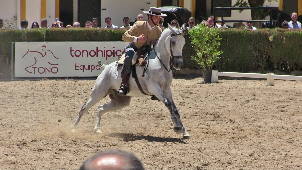 Jerez de la Ftra. (Cádiz) DOMA VAQUERA 2017 10 José Pablo Rodriguez Román con Napoleón