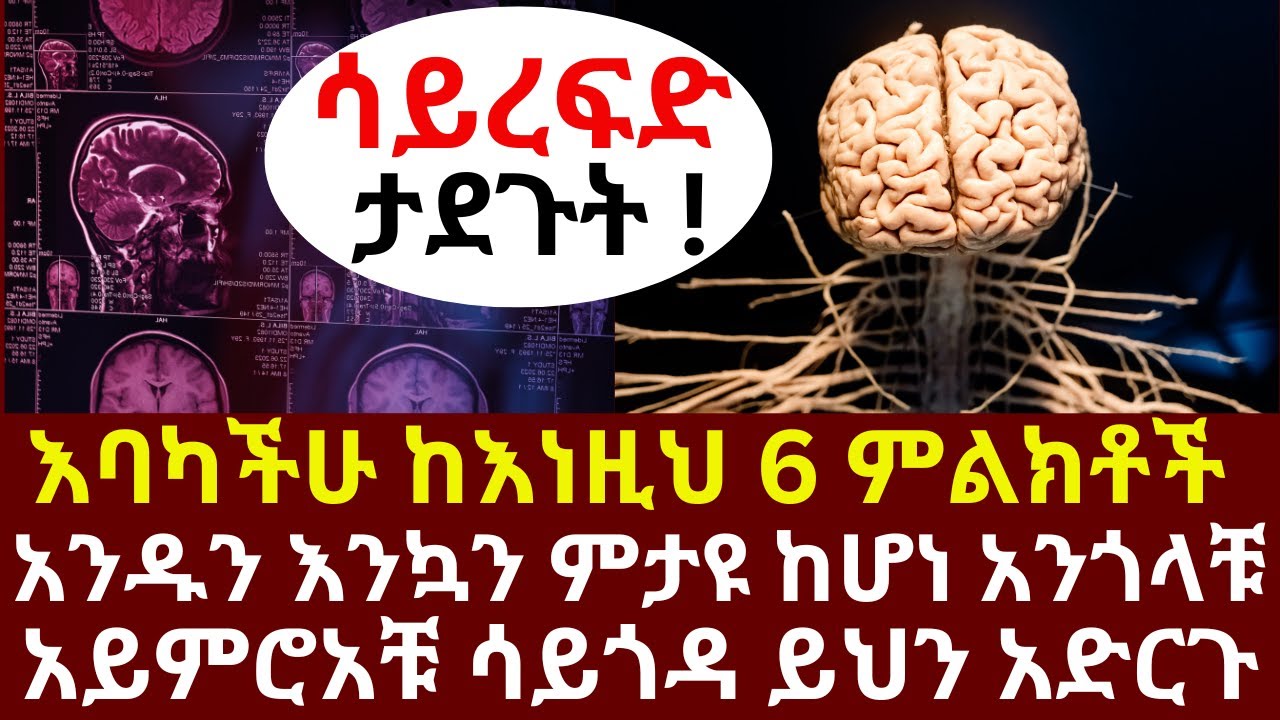 እባካችሁ ከእነዚህ 6 ምልክቶች አንዱን እንኳን ምታዩ ከሆነ አንጎላቹ አይምሮአቹ ሳይጎዳ ይህን አድርጉ | #drhabeshainfo | #brainhealth