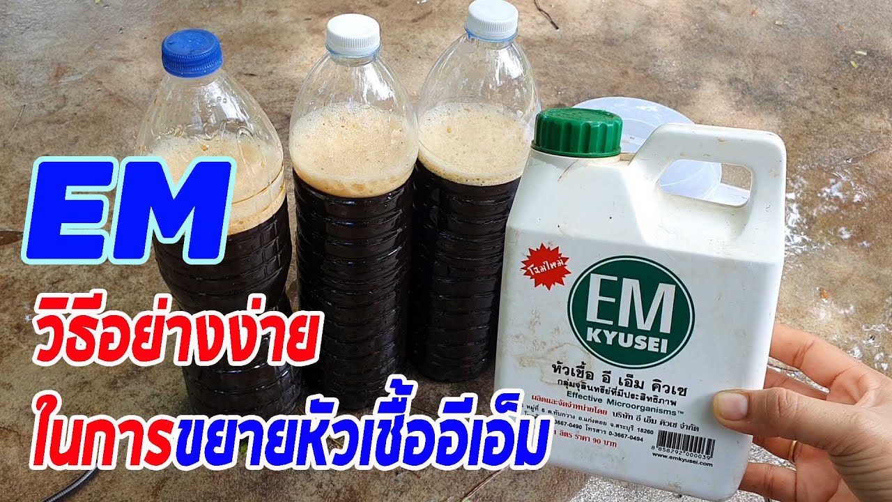 วิธีขยายอีเอ็ม(EM) อย่างง่ายๆ แบบประหยัดต้นทุน ใช้ได้กับทั้งพืชและสัตว์