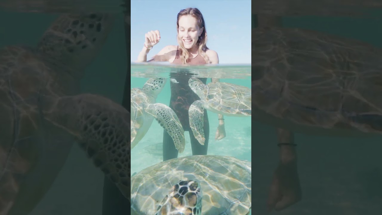 TURTLE TIME #boatinglifestyle #bahamas #boating #boatvlog #boatlife #catamaran #travel #yachtlife