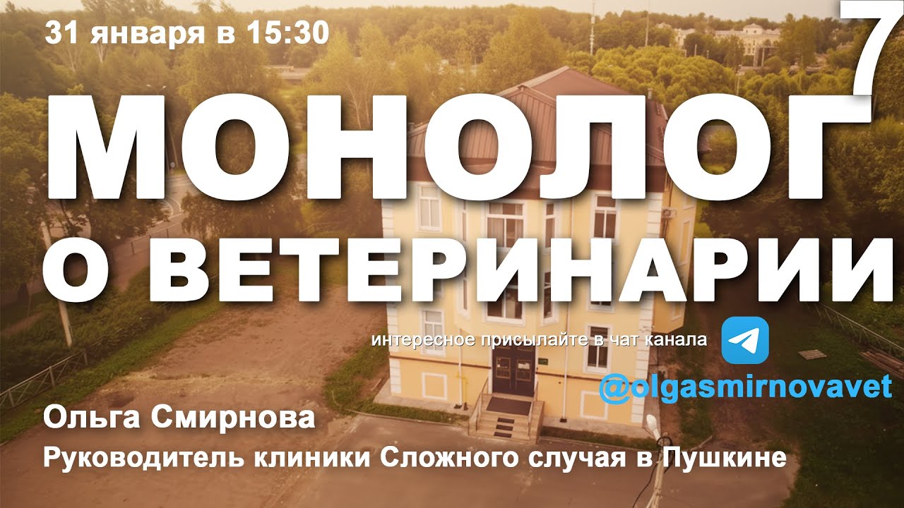 Монолог о ветеринарии #7