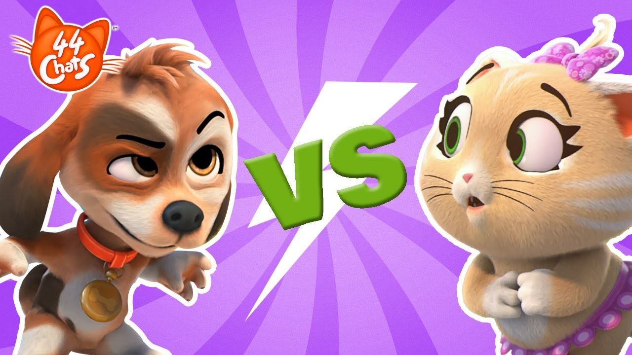 44 Chats | Chats VS Chiens. Le début d'une nouvelle amitié?