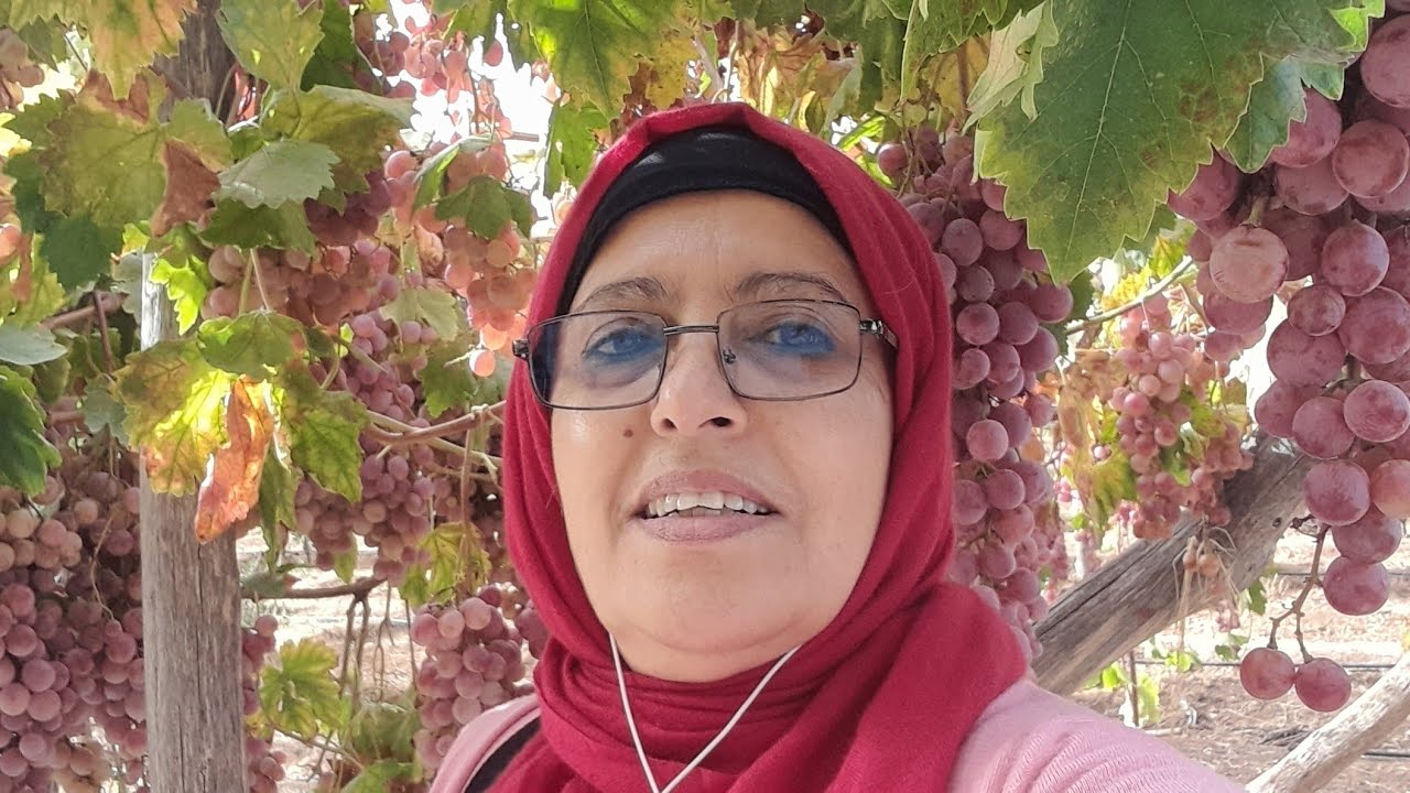 جولة في منزل أبي عروبية لي حاكر العروبية أجي شوف مشاء الله 🌴🍇☘️🫒🌿🥕🌾