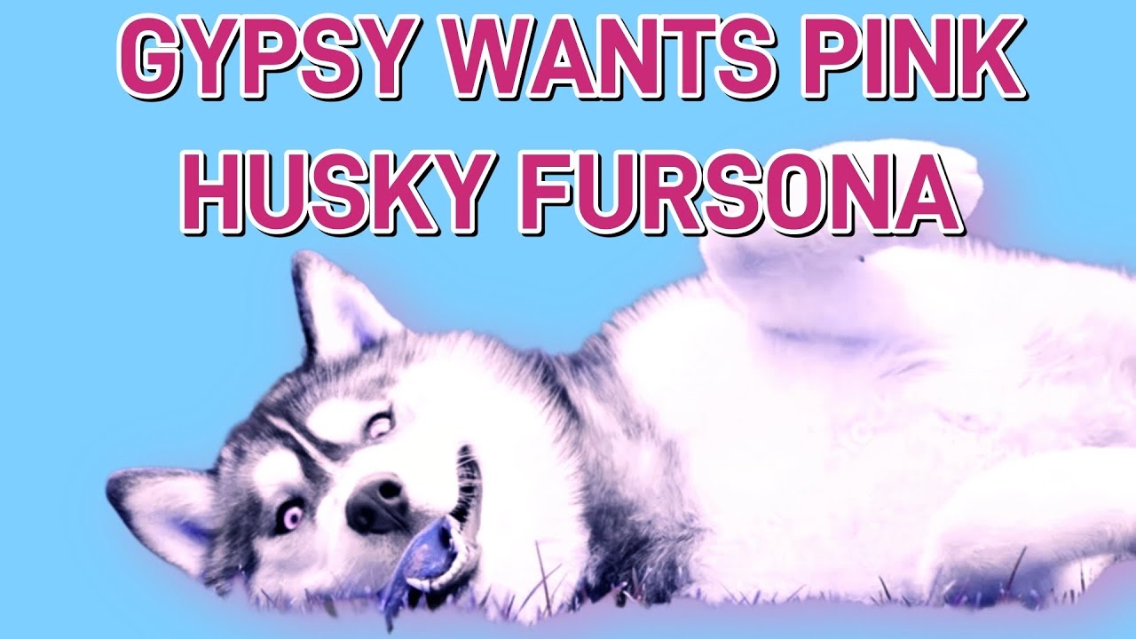 GRB PRISON EMAILS: GYPSY WANTS TO BE A PINK HUSKY FURR7 #gypsyroseblanchardcase #kenurker