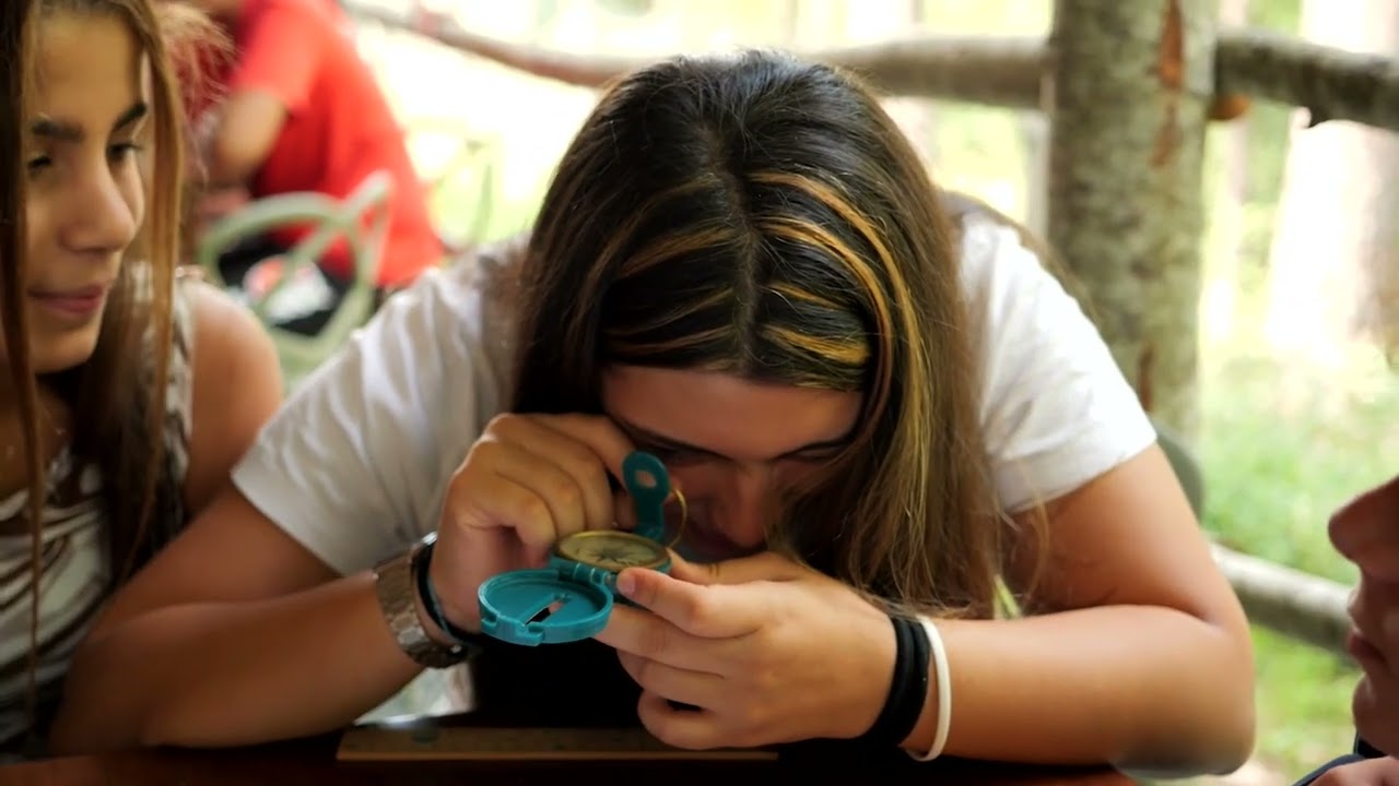 Liceo Quadriennale  Tred (Transizione ecologica e Digitale)