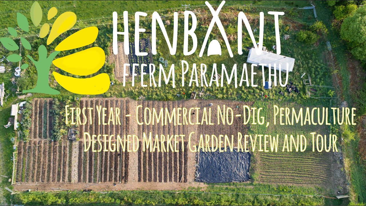First Year of commercial no-dig Market Garden in the UK - Henbant Permaculture - Farm Tour