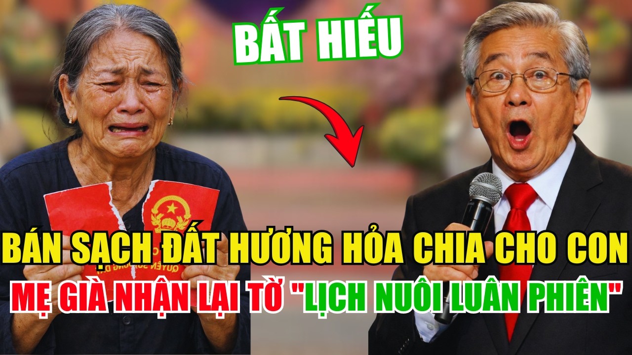 Tâm Sự Cùng Văn Sâm: Bán Sạch Đất Chia Cho 3 Con Trí Thức, Mẹ Già Bị Lập 