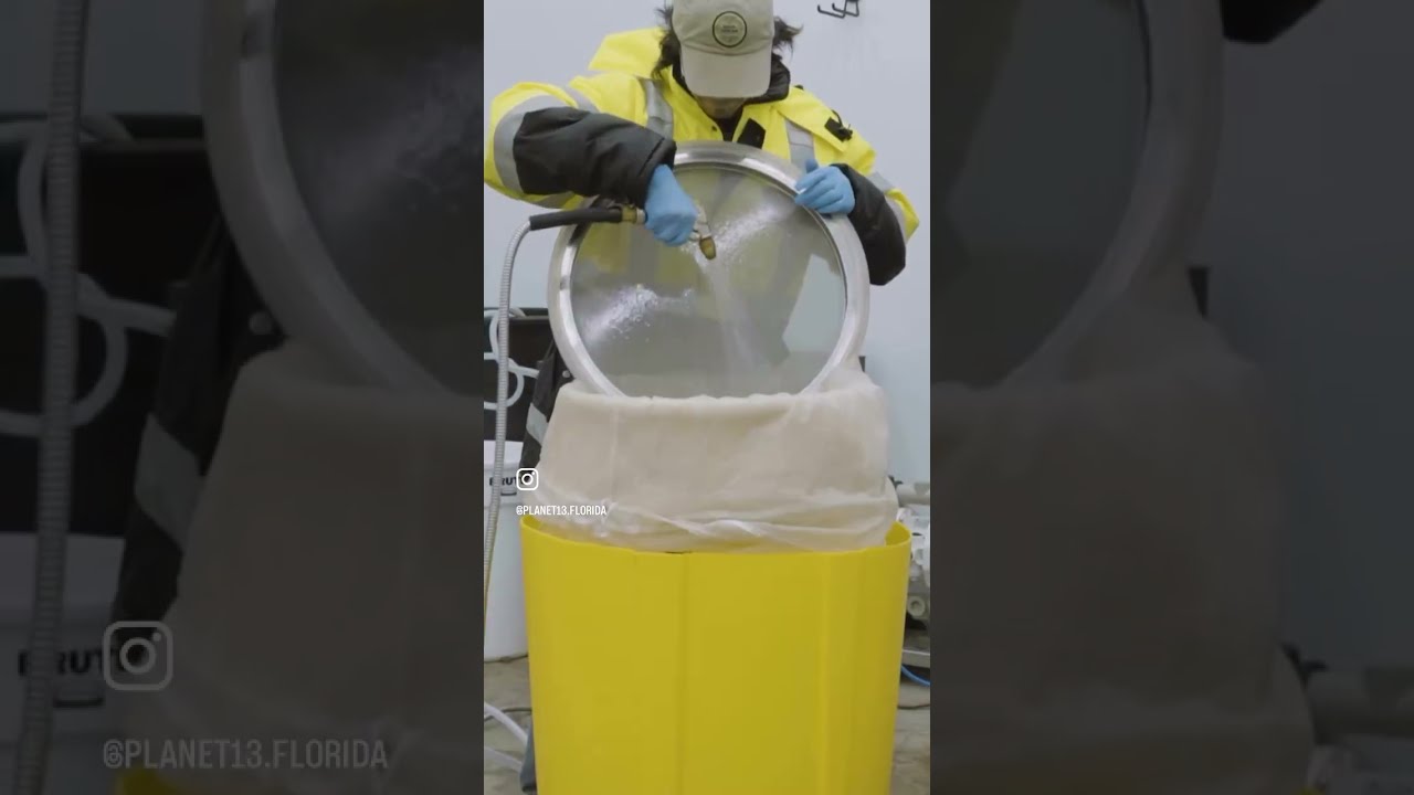 Behind the Scenes &ndash; Medizin All-in-One Live Rosin Vape  #cannabiseducation #medicalcannabis