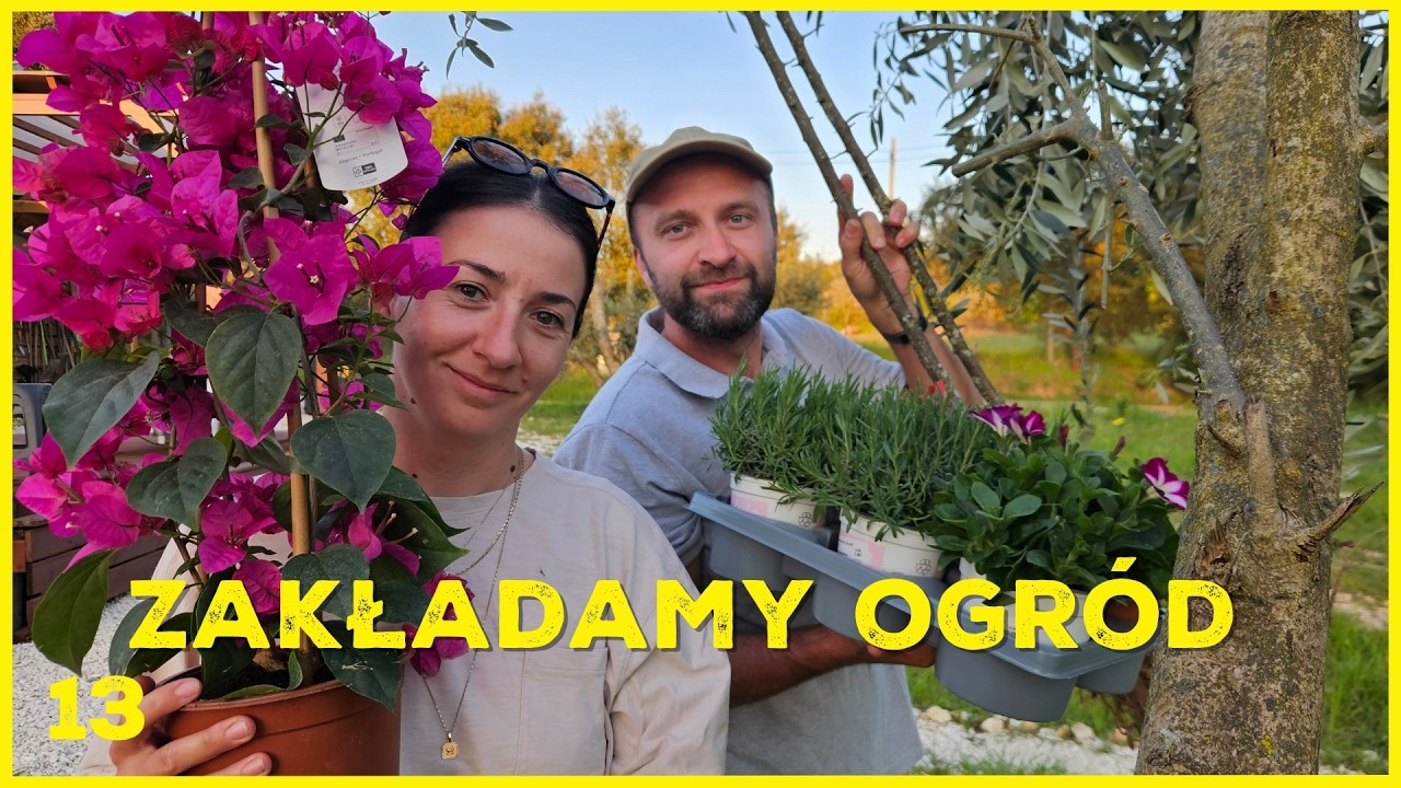 Kupujemy drzewa i sadzimy ogr&oacute;d! 🌿