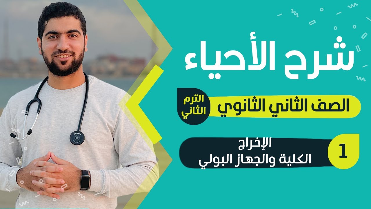 ٢- أحياء الصف الثاني الثانوي - الإخراج في الإنسان - الكليتين والجهاز البولي ✨🖤