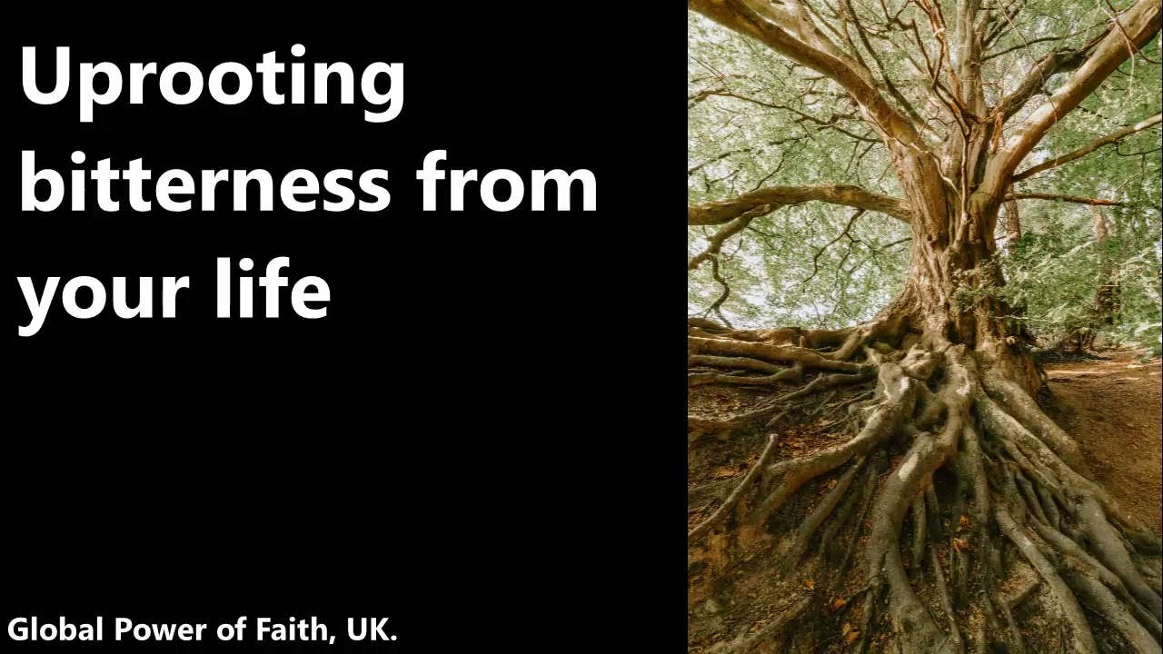 Uprooting bitterness || Global Power of Faith, UK