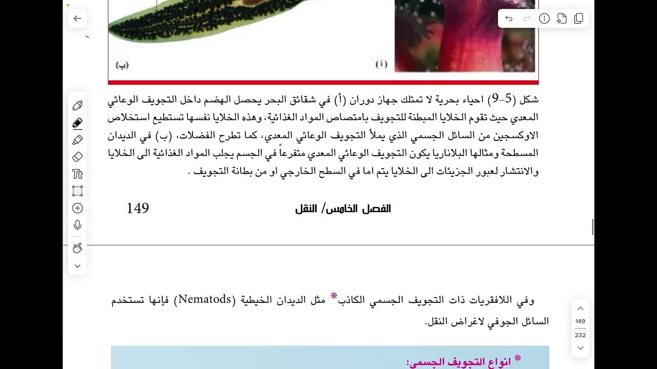 الفصل الخامس النقل المحاضرة السادسة الجزء الاول