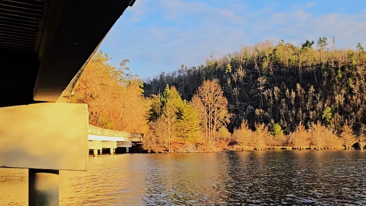 Relaxing Traffic Sounds Under a Bridge | Mountain Lake Ambience (1 Hour)