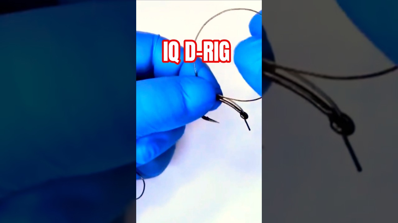 iq D-Rig  #carpfishing #wędkarstwo #karpiarstwo #przypon #carp #fishing