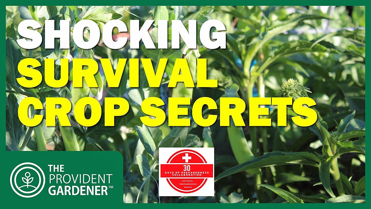 Top 10 Survival Crops and Secret Foods Hidden in Your Garden #30DaysofPreparedness2025