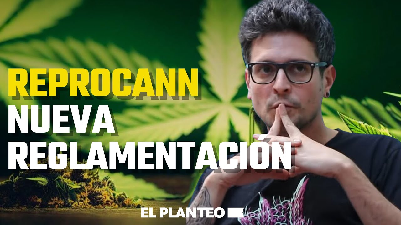 REPROCANN 2024: NUEVAS MEDIDAS en el GOBIERNO de JAVIER MILEI