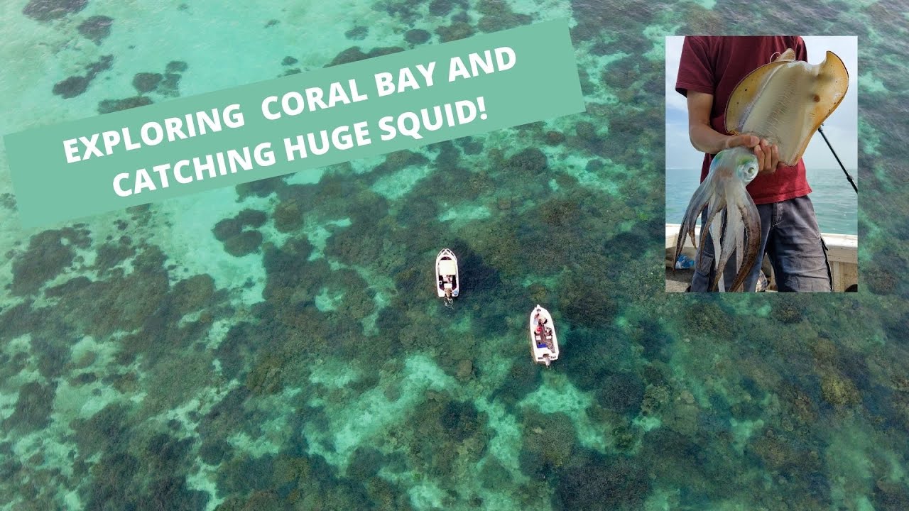 Exploring and fishing Coral Bay, West Australia! Catching HUGE squid, diving and camping!