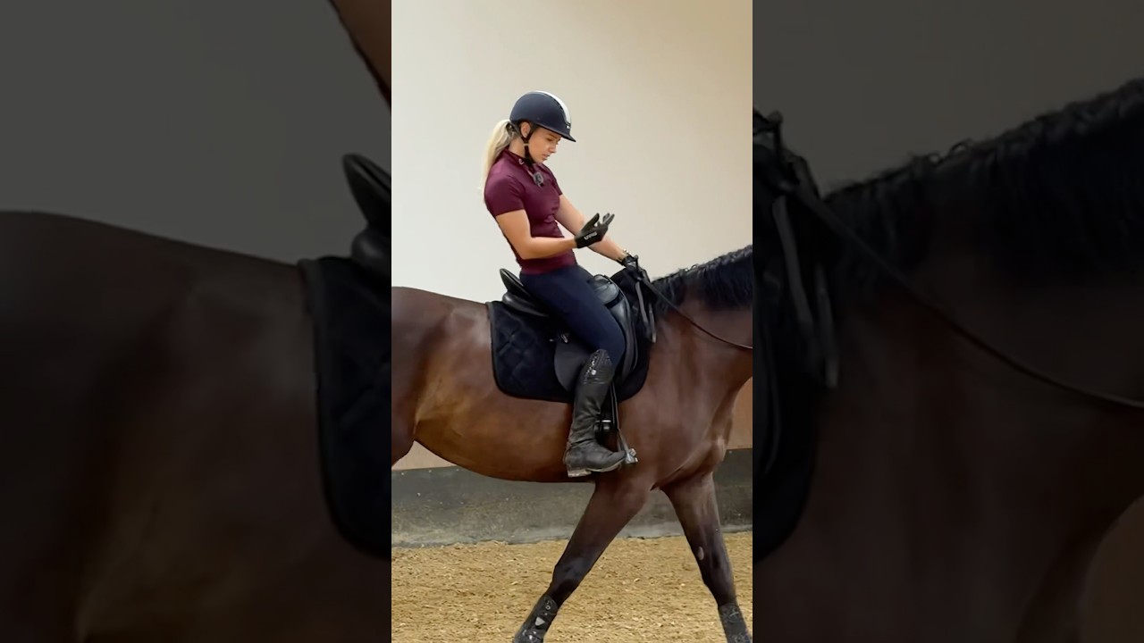 Aussitzen leicht gemacht 🤌🏻 #momoequestrian #horse #reiten #horseriding