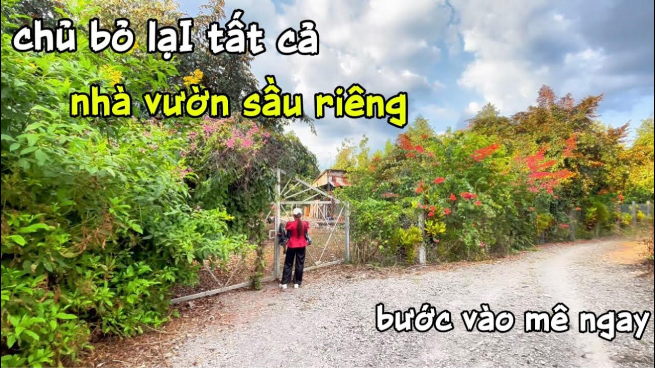 Chủ bỏ lại tất cả vườn sầu riêng vườn hoa đủ loại trái cây 