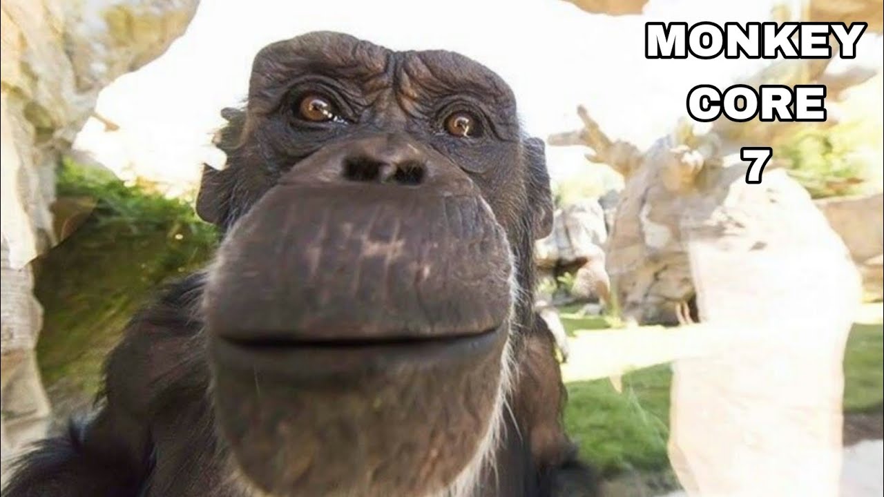 Are they people 🤯? Monkey Core Part 7 🙊