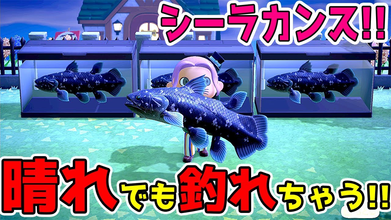 晴れでも釣れちゃう!! 超激レア魚シーラカンスが超簡単に誰でも釣れる方法!! あつまれどうぶつの森 #あつ森 #どうぶつの森 #1