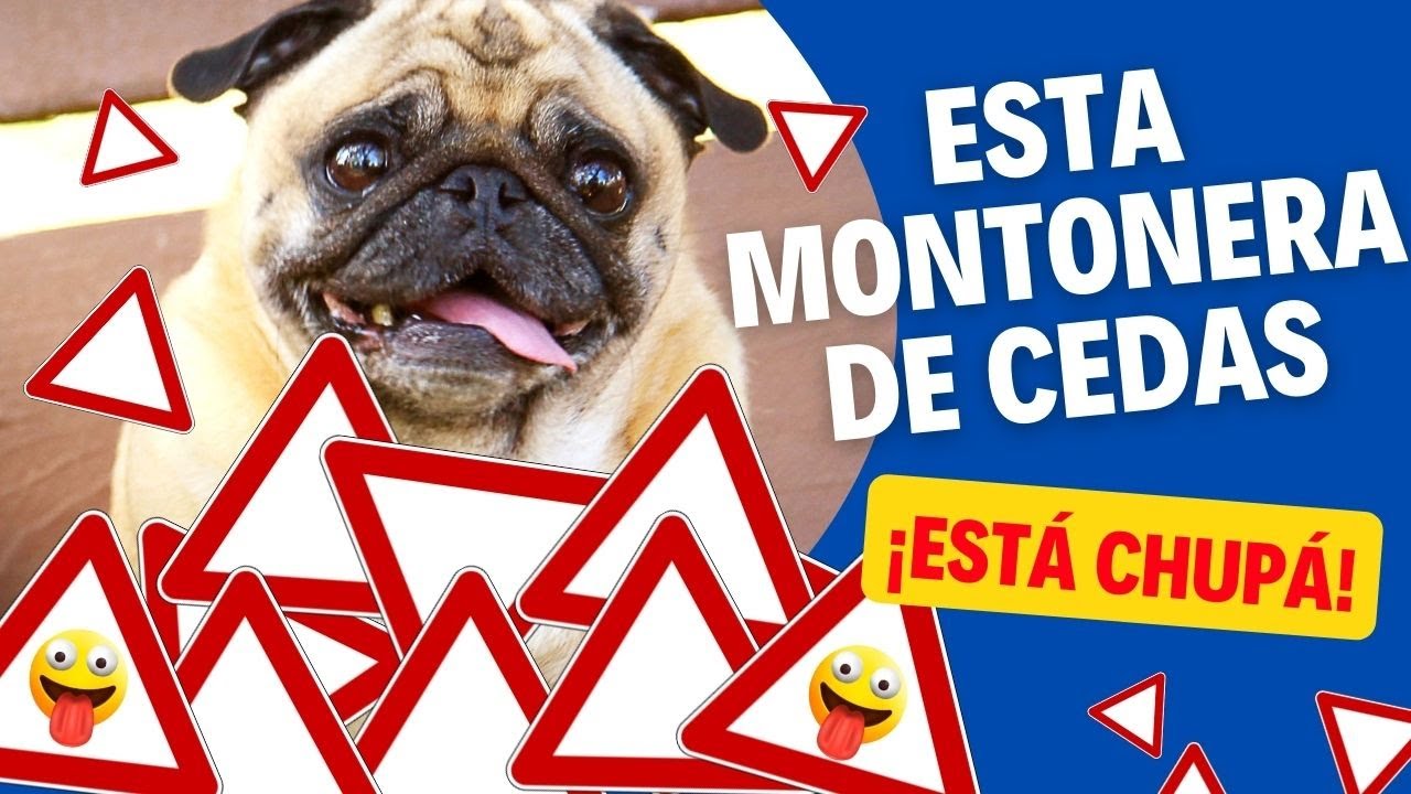 APRENDE A HACER UN CEDA EL PASO A LA PERFECCIÓN