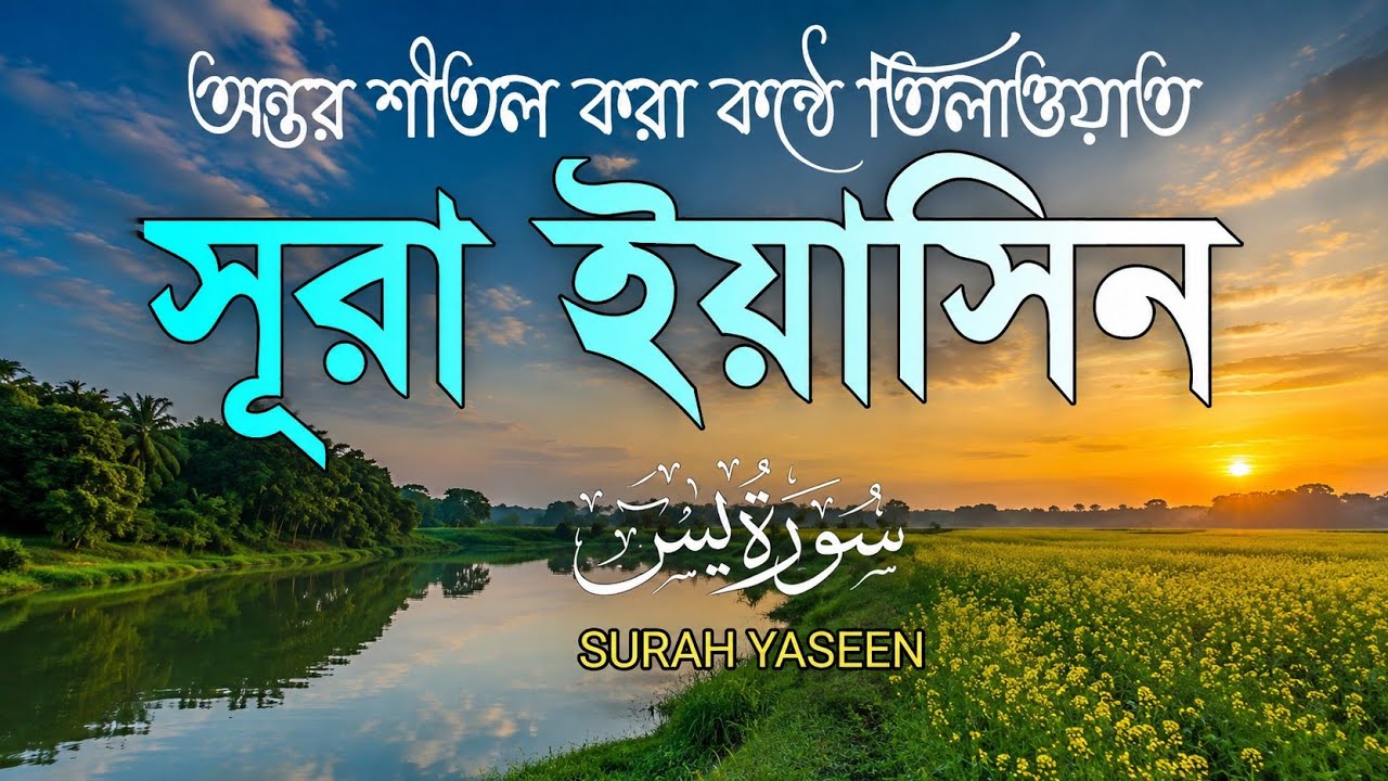 সকালের শুরু হোক সূরা ইয়াসীনের নূরে | প্রশান্ত হৃদয় ছোঁয়া তিলাওয়াত | سورة يس | Morning Surah Yasin