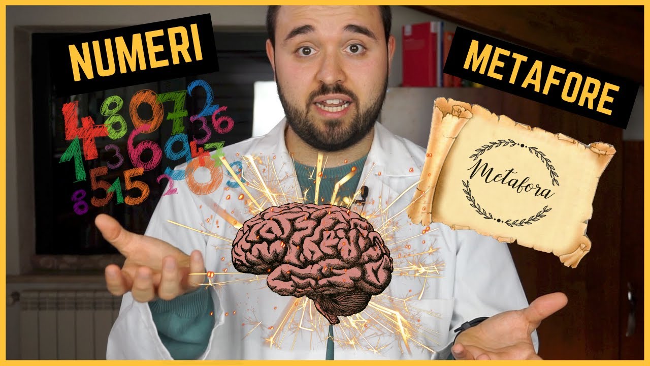 Cosa c'è nel nostro cervello?