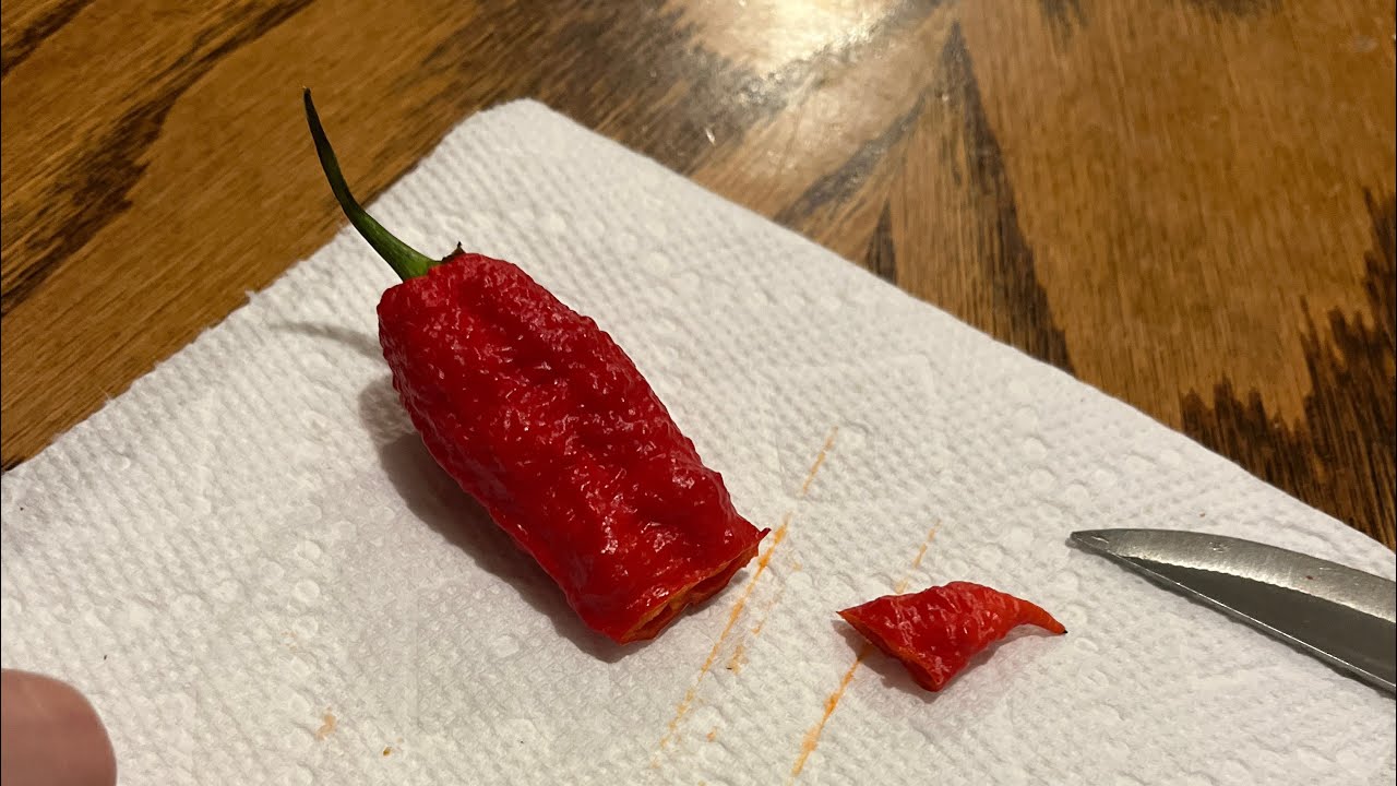 Agent1611 Tries the Primotalii Pepper