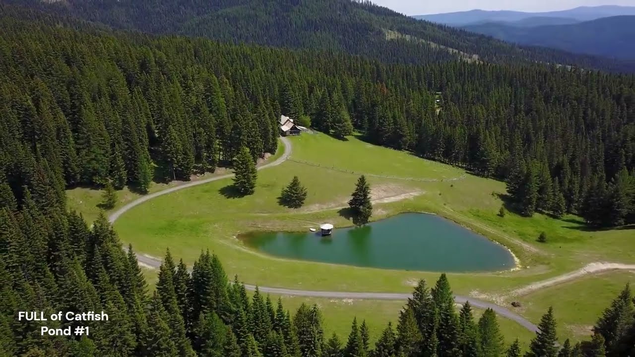 88.577 Acre property for sale in Elk City Idaho - Mud Springs Elk City Wagon Road
