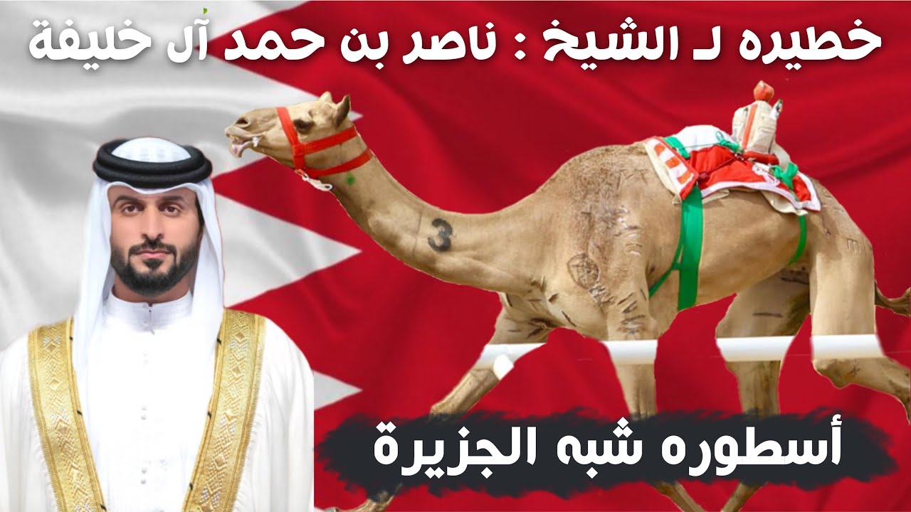 أسطوره شبه الجزيرة|شيله مهداه لـ الشيخ ناصر بن حمد ال خليفة | اداء : مسعود ال شعفول | حصريا 2025