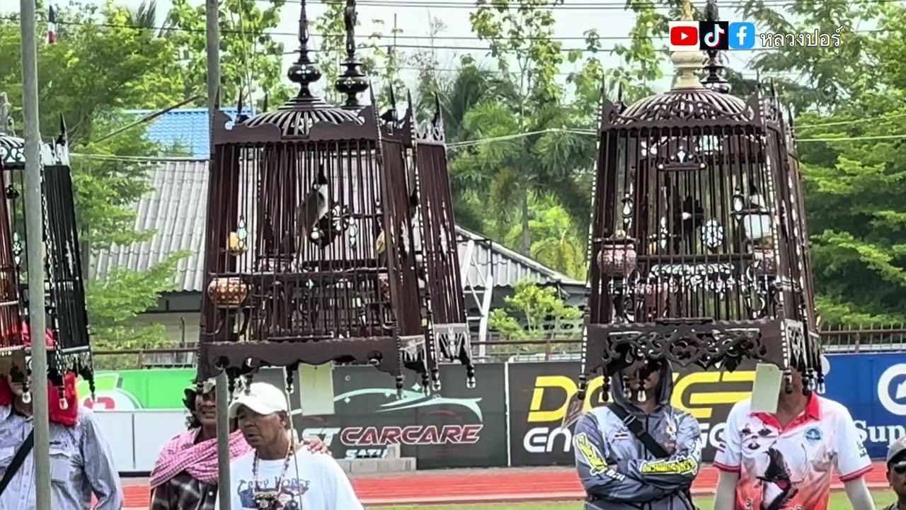 ศึกเจ้าเสียงทอง สนามกีฬา อบจ.สตูล  ศึกชิงแชมป์นกกรงหัวจุก จังหวัดสตูลครั้งที่ 1