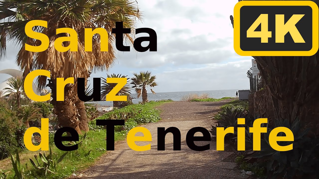 Tenerife - Santa Cruz de Tenerife -  Tenerife Capital - promenade walk - January 2023