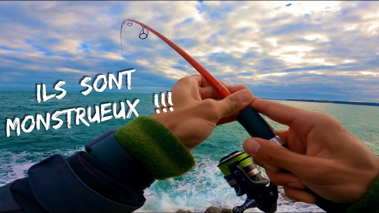 C&rsquo;est lourd, tr&egrave;s lourd  ( Je p&ecirc;che des monstres alors que je n&rsquo;&eacute;tais pas venu pour &ccedil;a )