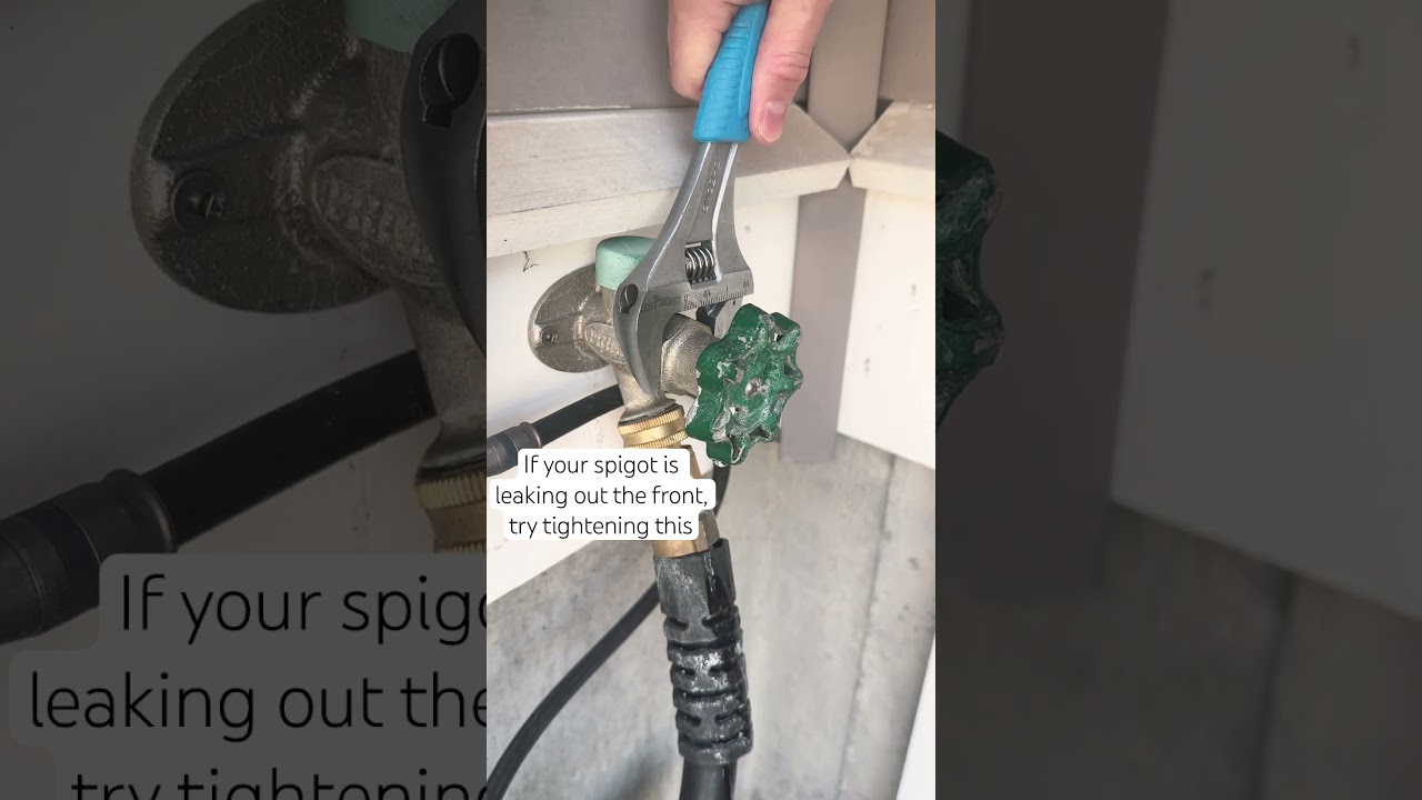 If your outdoor spigot is leaking try this first.