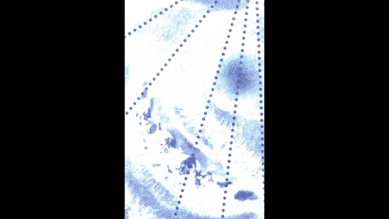 Jesus Loves Junkies - Anatomy Of A Slave (Slave III)