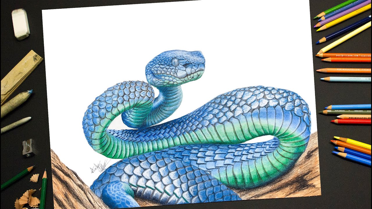 Time Lapse Blue Snake with Colored Pencils and Watercolors - Hyperrealistic Drawing