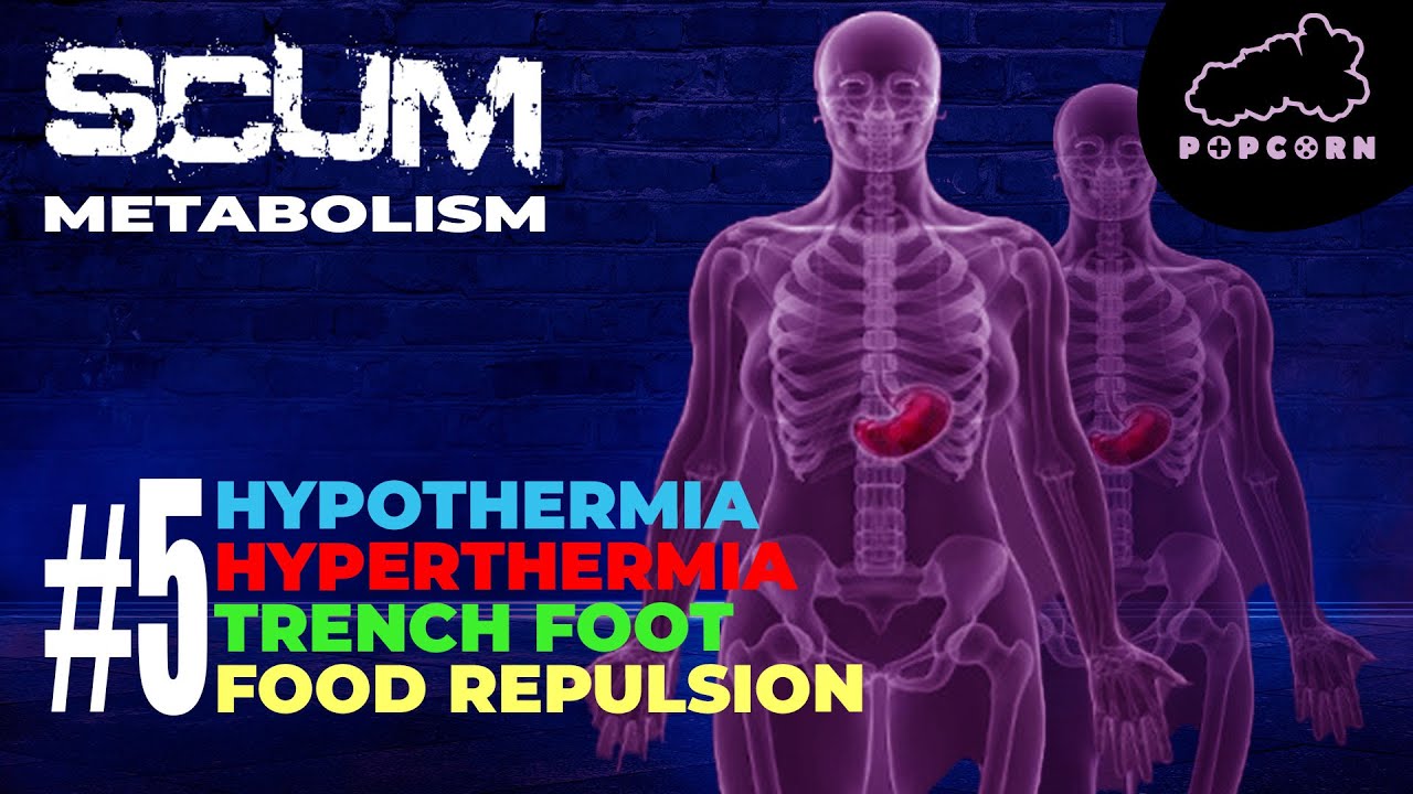 SCUM Ultimate Metabolism Breakdown Series (SCUM Game) #SCUM