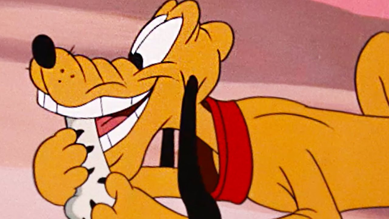 Pluto and the Bone Bandit | A Classic Mickey Short | @disneykids